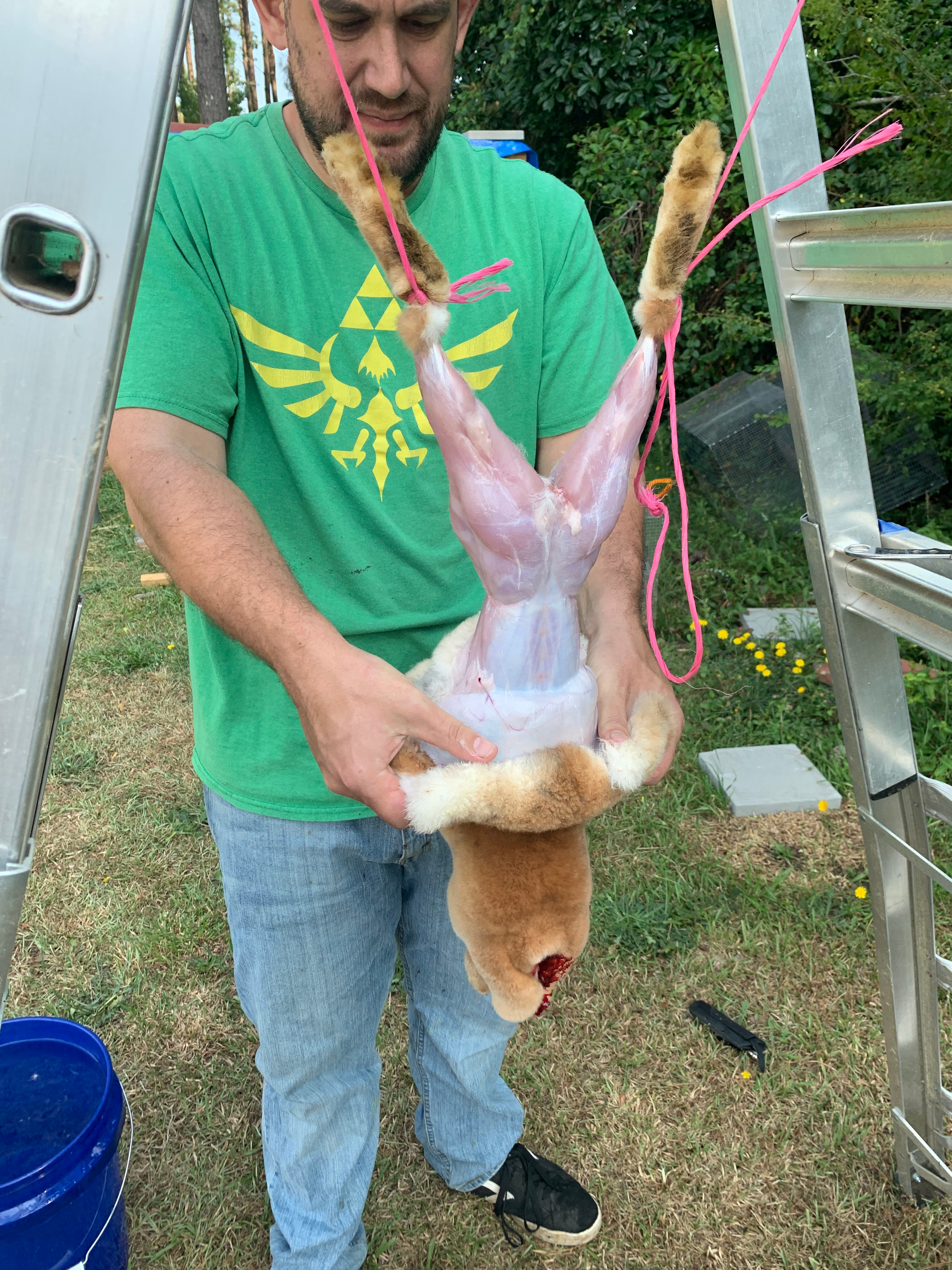 rabbit processing